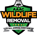 Clermont Wildlife Removal